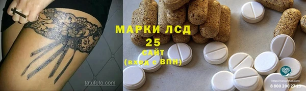прущие грибы Каменск-Шахтинский