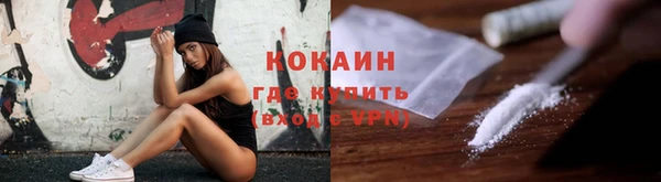 прущие грибы Каменск-Шахтинский