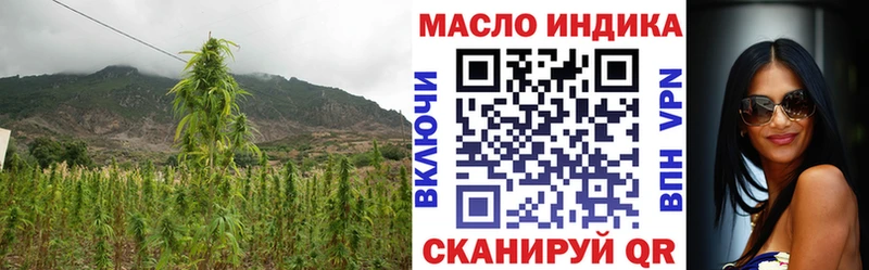Купить где  Городовиковск  ТГК Wax 